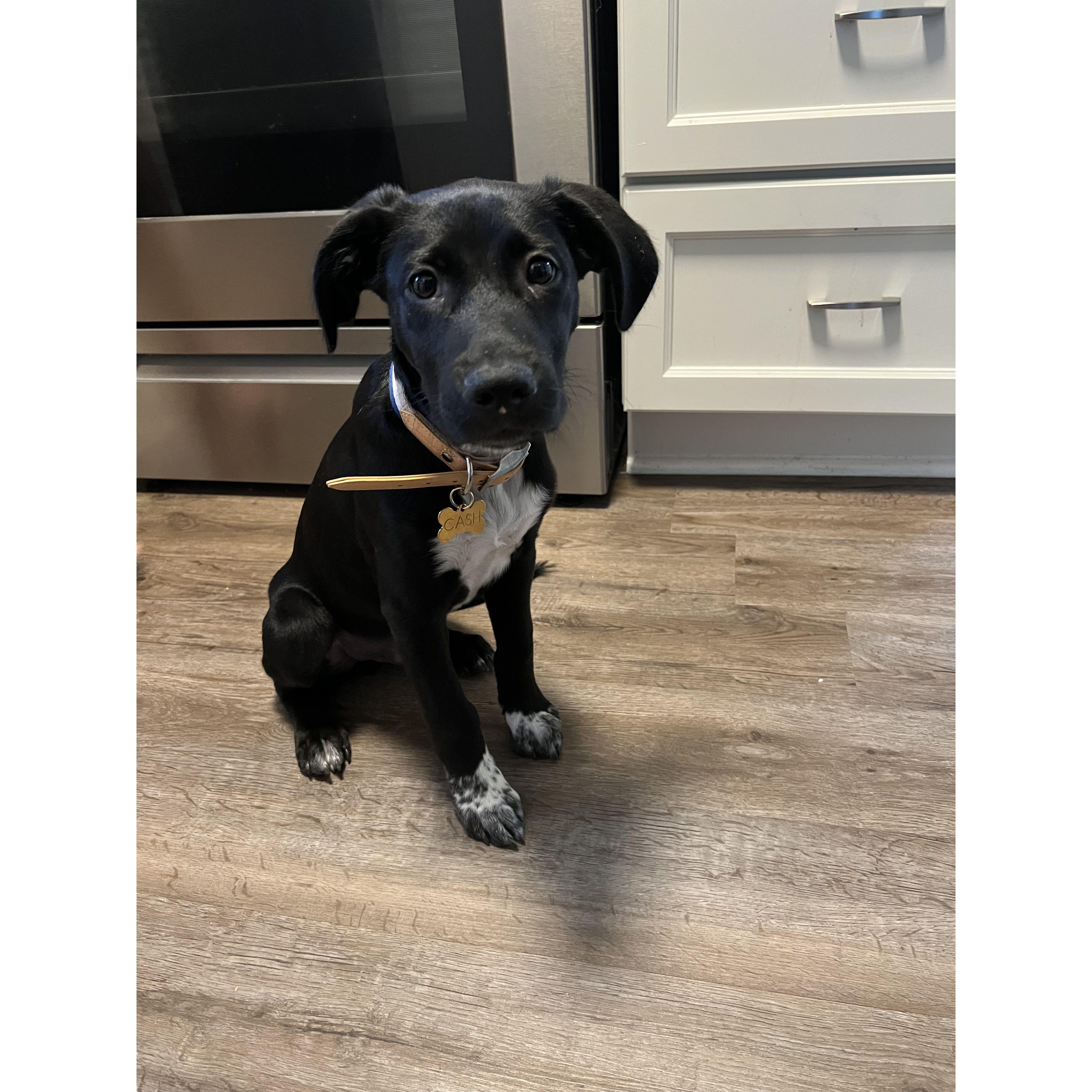 Baby Cash's First Day at Home