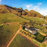 Beau Constantia