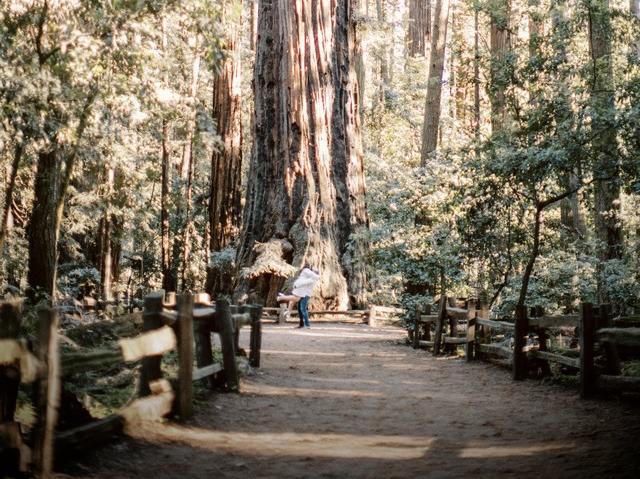 The Wedding Website of Jordan Raphael Guillory and Kimberly Helene DiMassimo