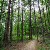 Enterprise South Nature Park