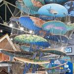 Great Explorations Children's Museum