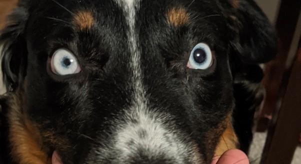 The Wedding Website of Carmen Morales and Dylan Rust