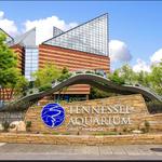 Tennessee Aquarium