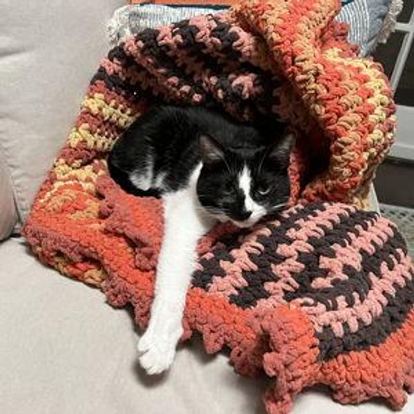 Stevie's Blankets