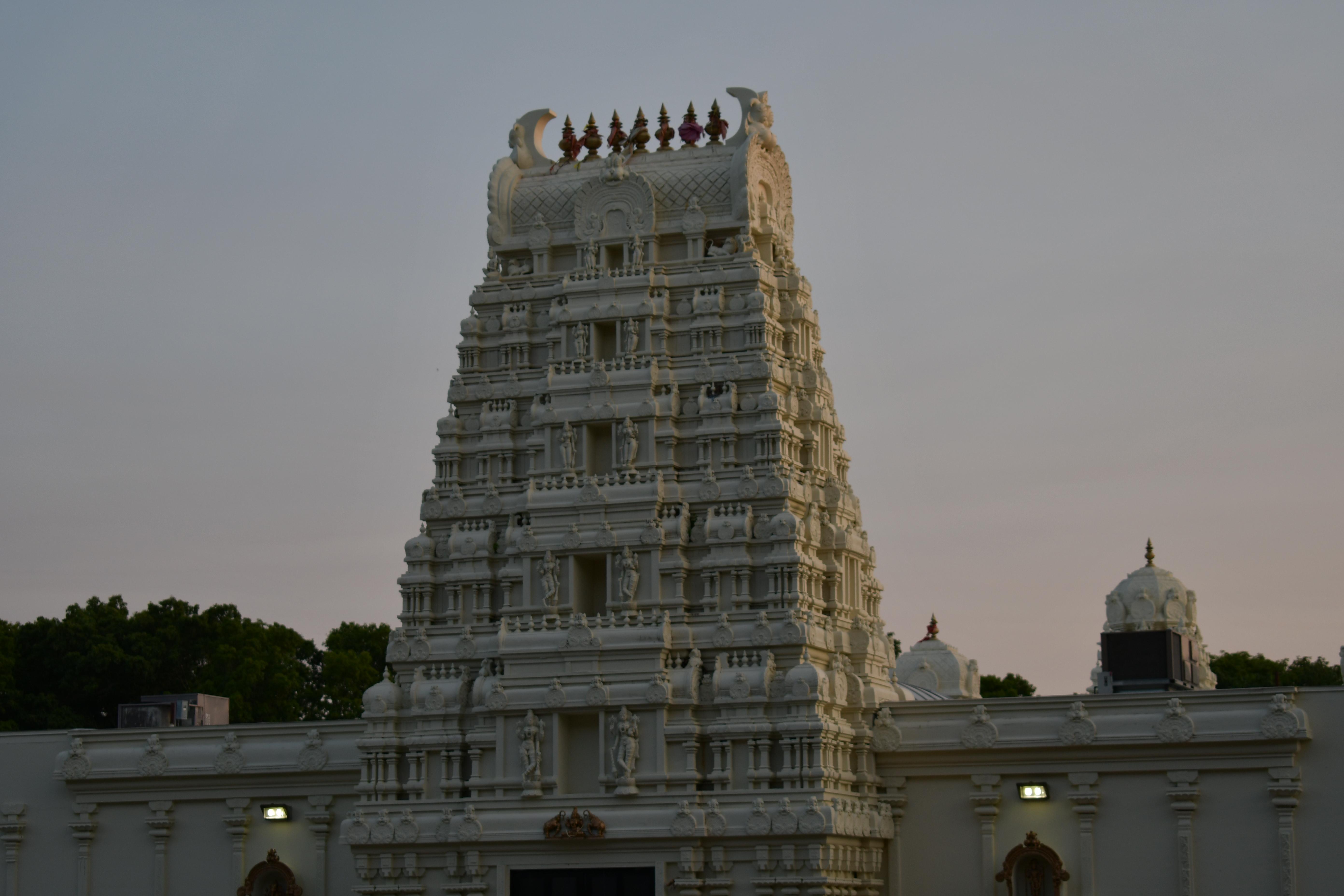 The Wedding Website of Niki Agrawal and Surya Manickam