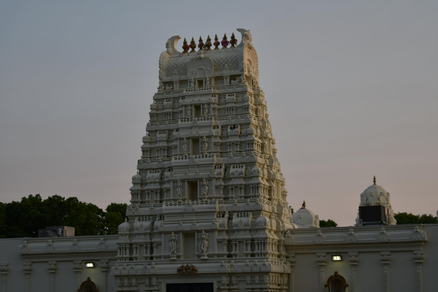 The Wedding Website of Niki Agrawal and Surya Manickam