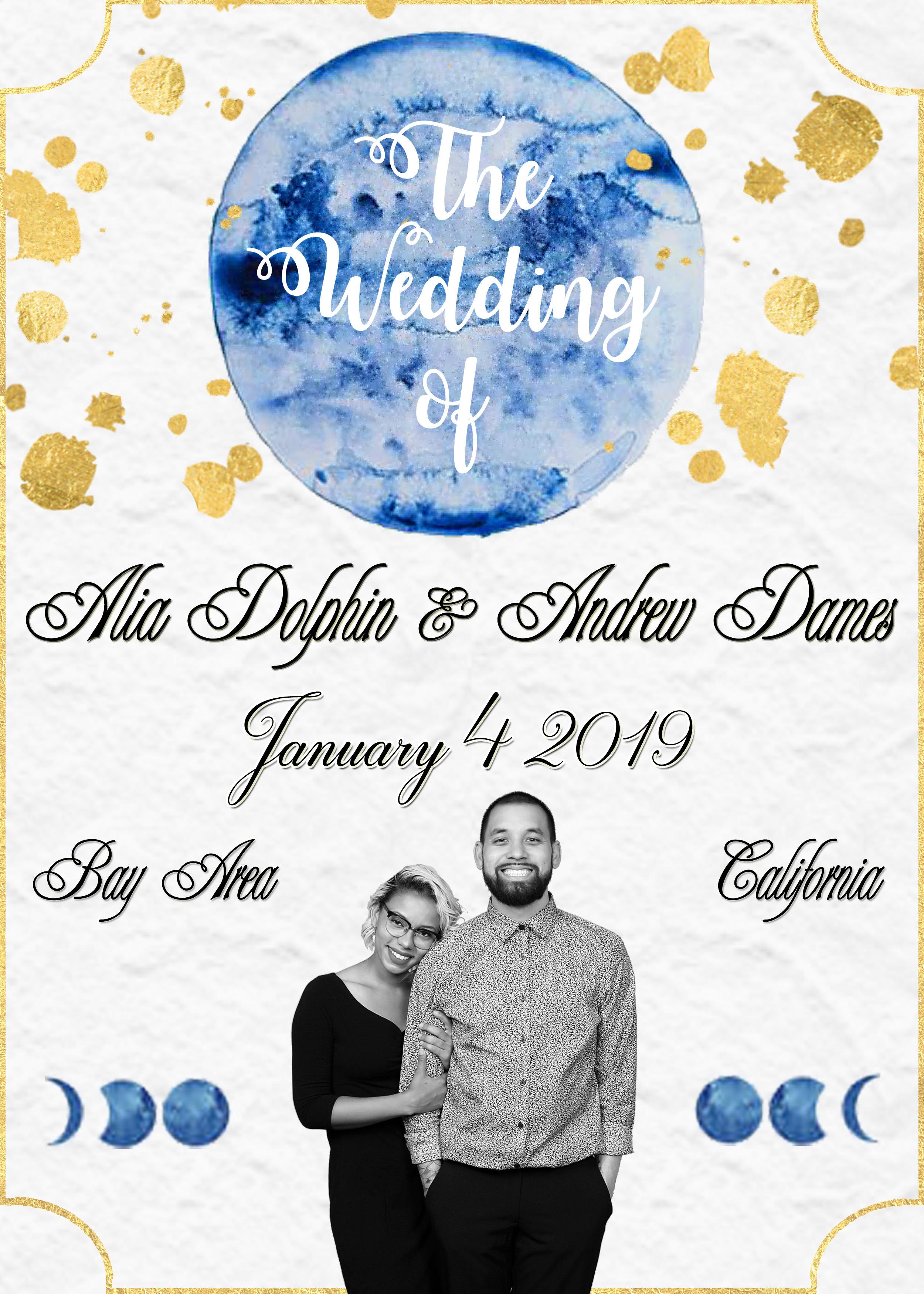 The Wedding Website of Alia Dolphin and Andrew Dames