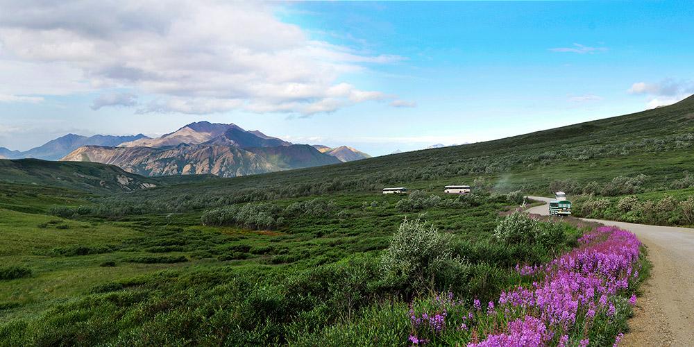 The Wedding Website of Grace N Dung and Go To Alaska