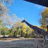 Brookfield Zoo