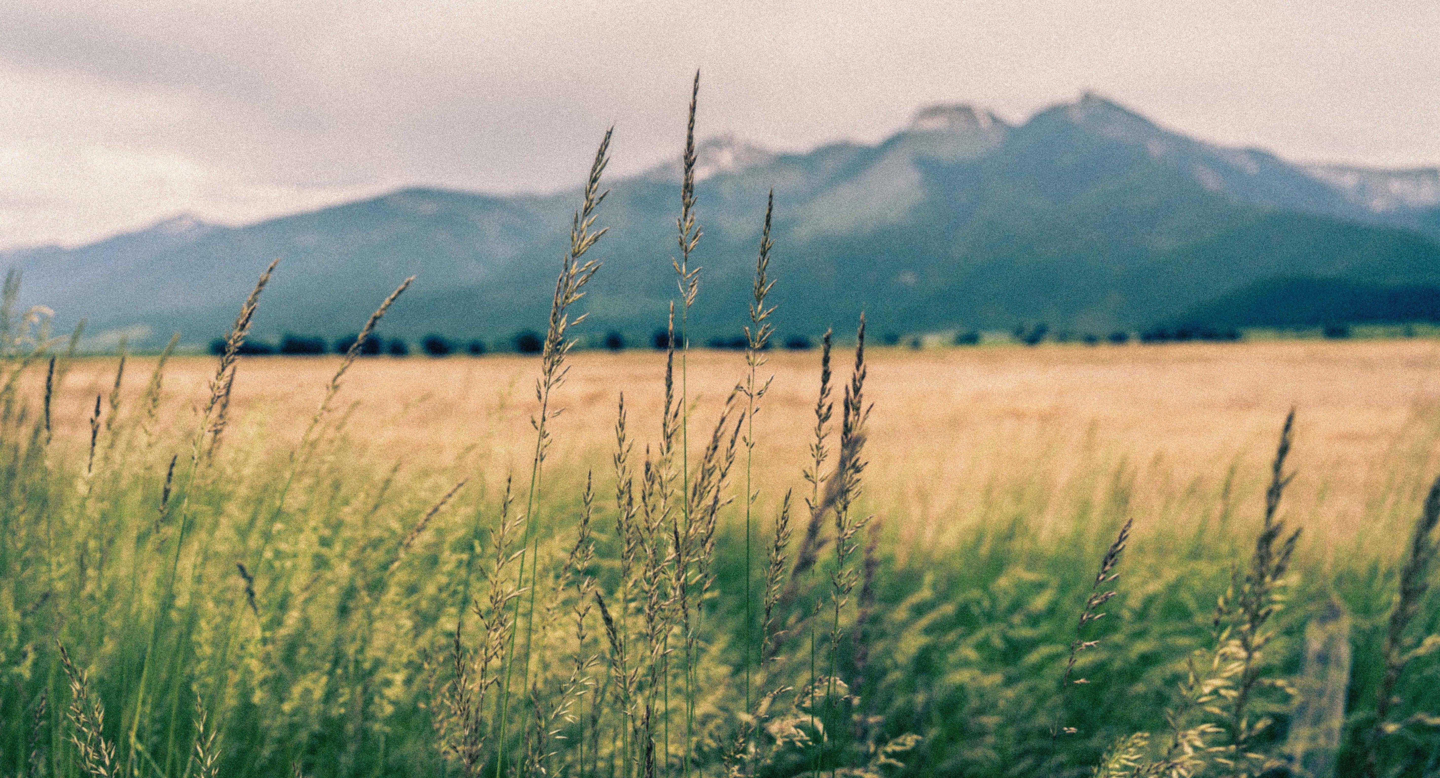 The Wedding Website of Hannah Getz and Andrew Wheeler