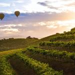 Napa Valley