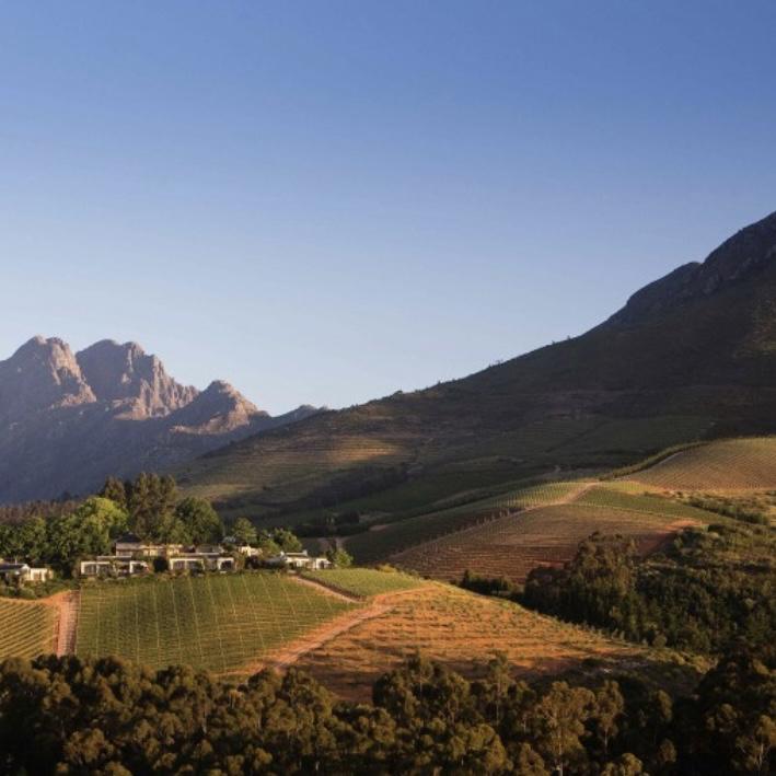 Helicopter Wine Tour 🚁