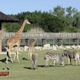 Frank Buck Zoo