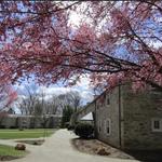 Haverford College Arboretum