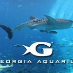 Georgia Aquarium