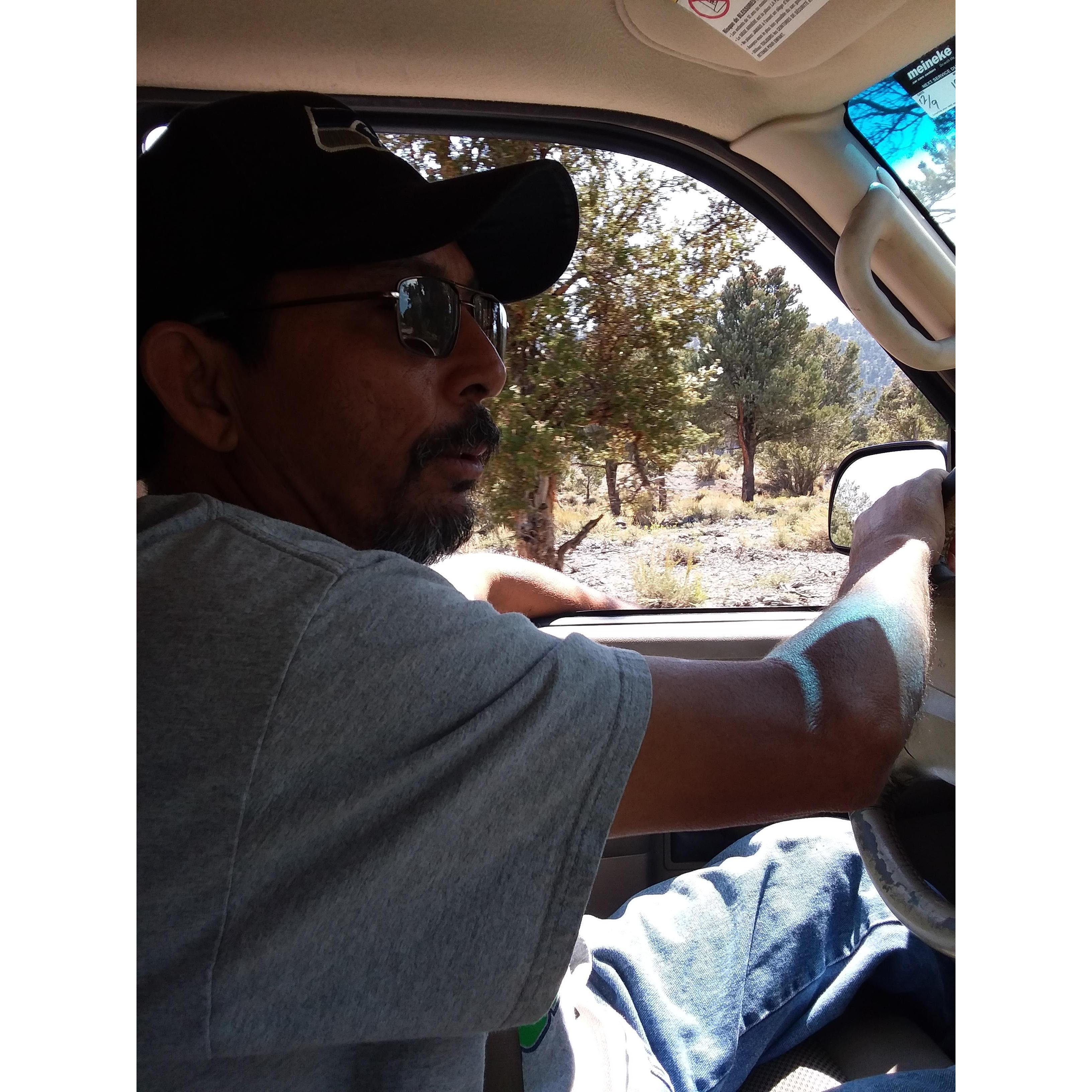Driving up to gather pinions.