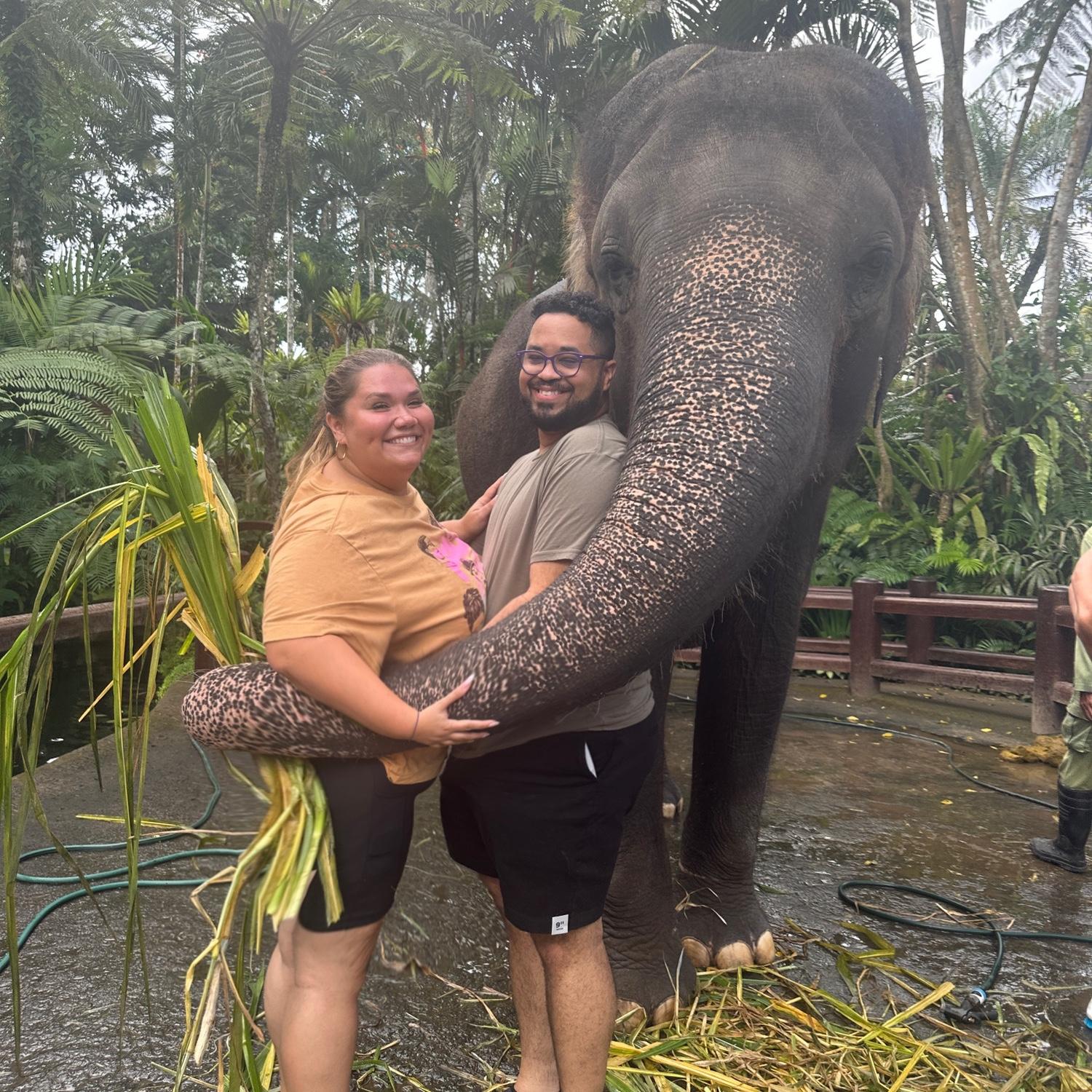 Elephant hug!