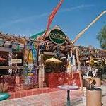 The Cantina