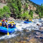 Montana Whitewater Rafting & Yellowstone Zipline Tours - Yellowstone