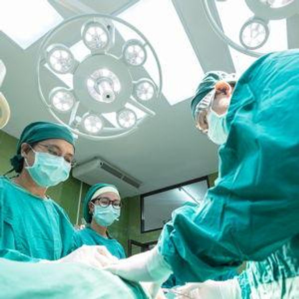 Stacy's Medical School Fund