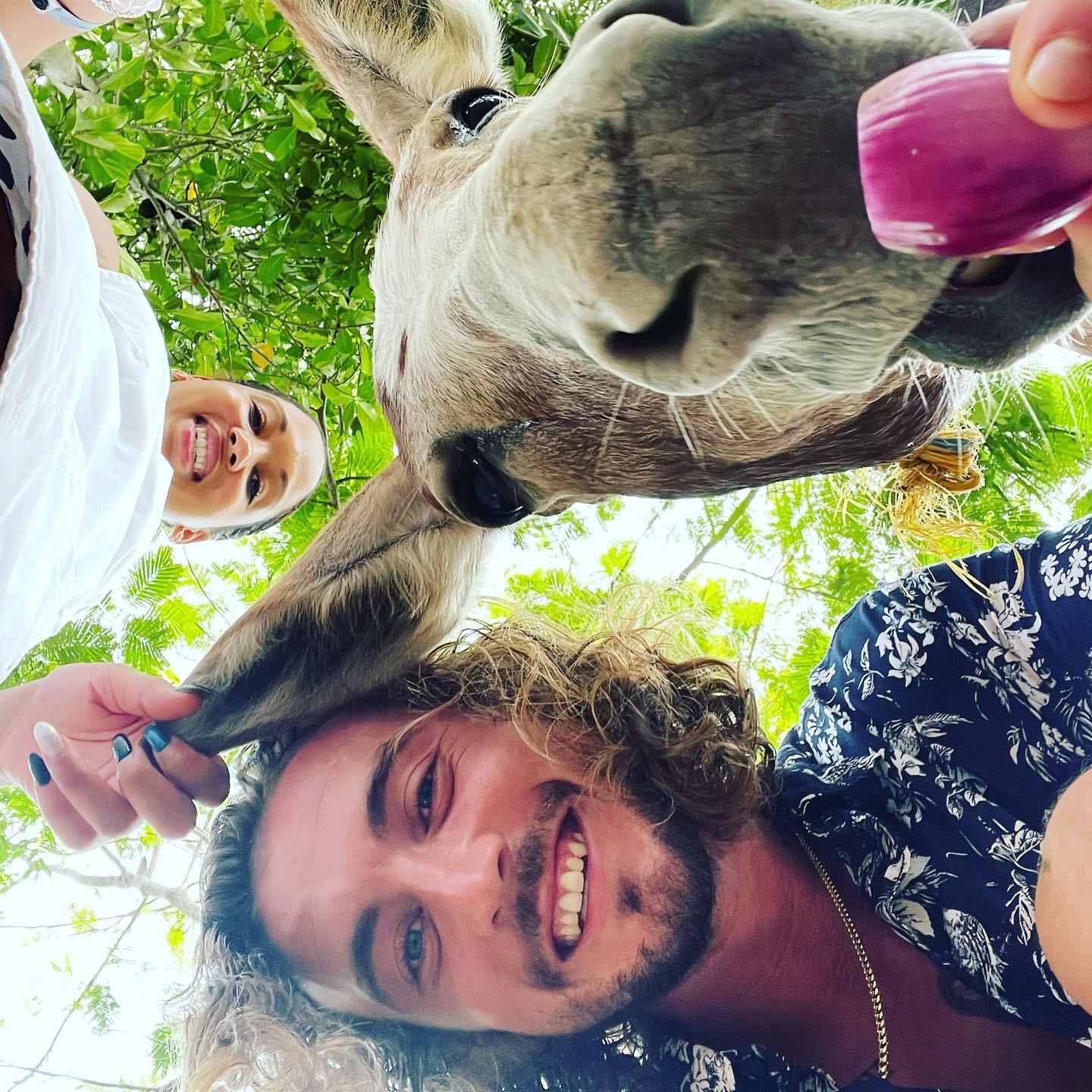 In Mexico, with our donkey friend we met while cooking in the hills.
