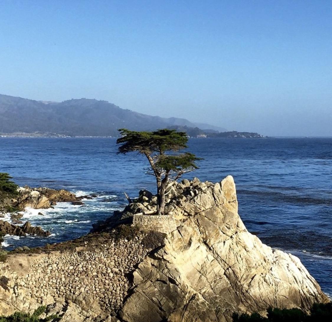 The Wedding Website of Moira Coughlan and Darin Wymer