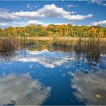 Asylum Lake Preserve