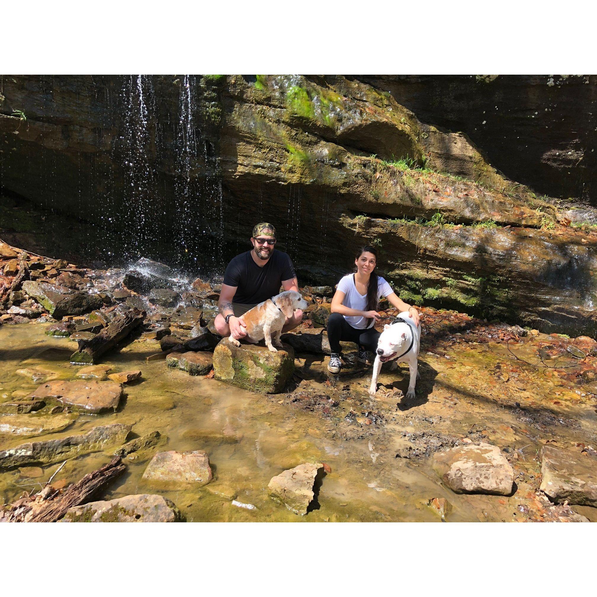 Hikes with the pups! Damn we miss them.