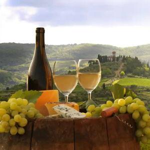 Wine Tasting Tour in Tuscany