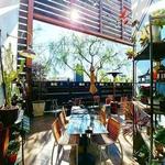 Old Vine Kitchen & Bar