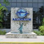 Mote Marine Laboratory & Aquarium
