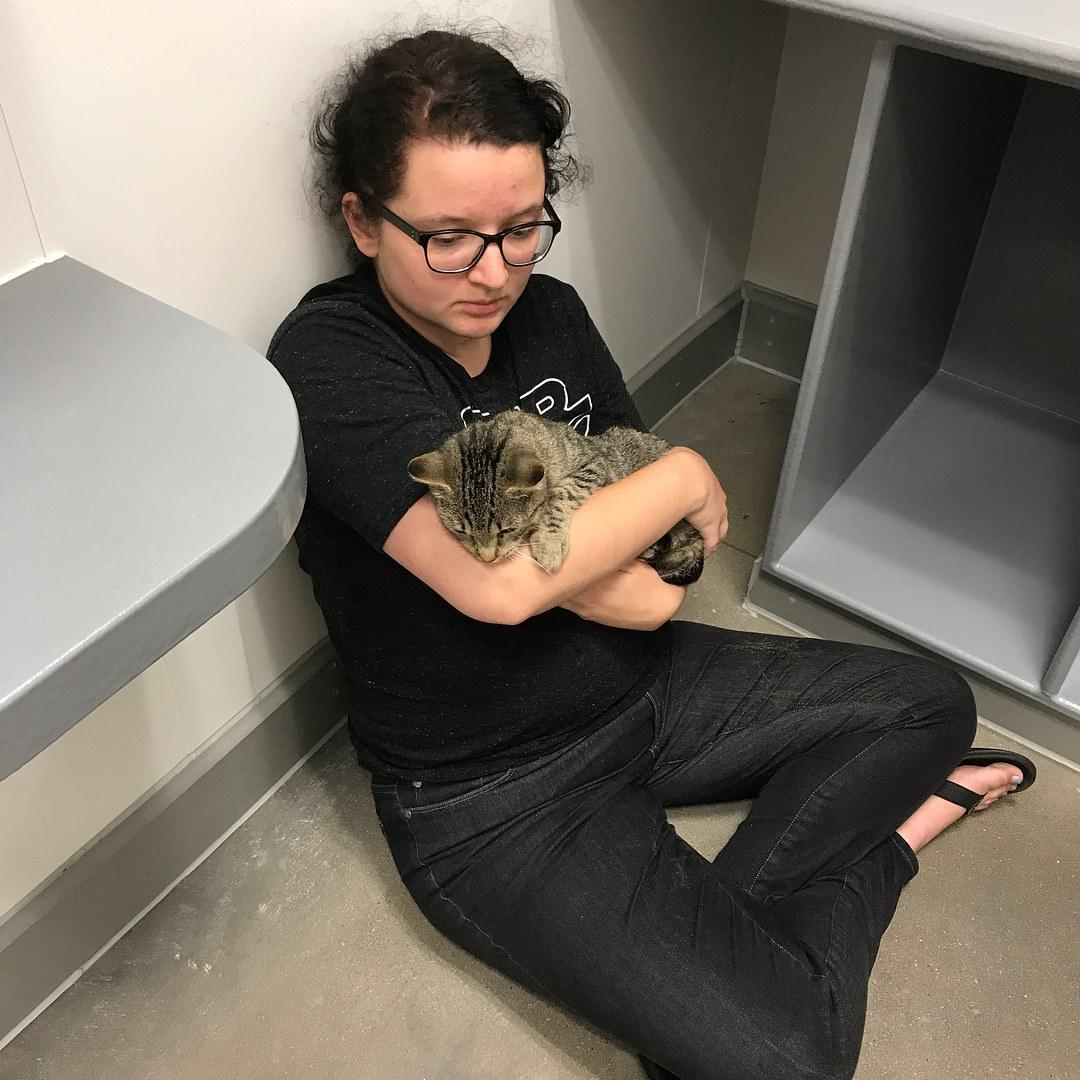 Cleo meeting Ruth the first time at the Coralville PetSmart in August 2017.