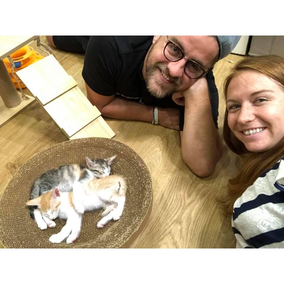 Expanding our little family by adopting our baby kitties, Kevin and Geophph