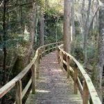 Kalmia Gardens