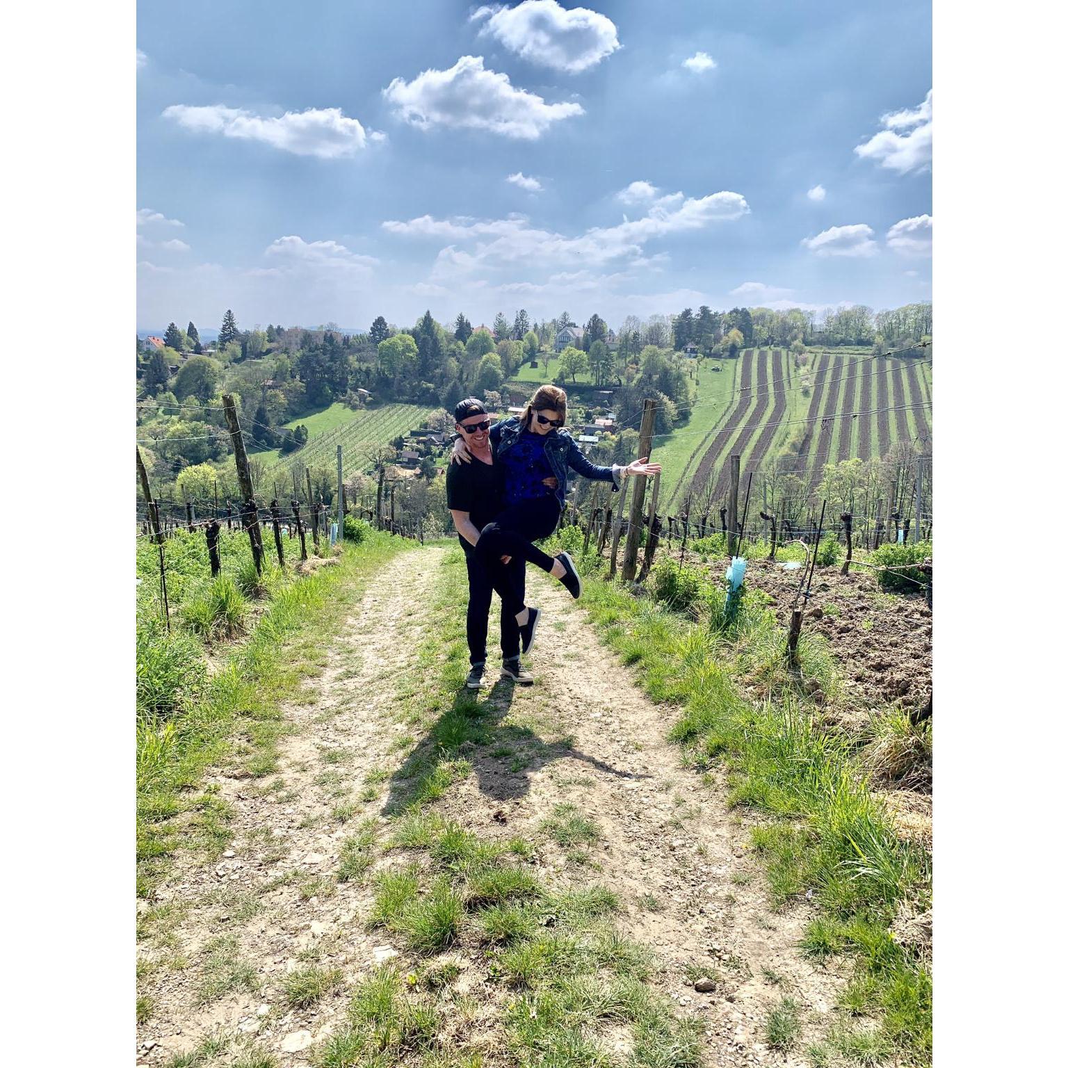 Hiking Vienna’s wine trails
