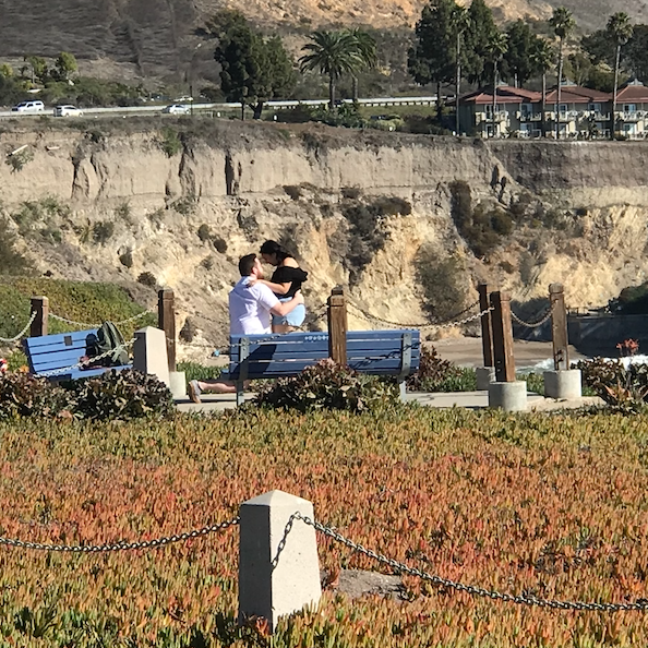 Proposal
