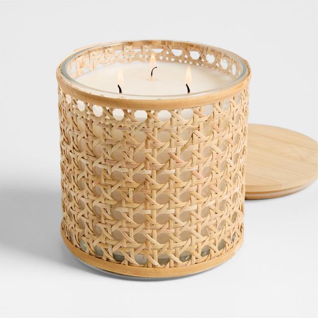 Grafton 3-Wick Indoor/Outdoor Bug Repellent Scented Candle