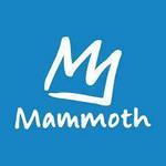 The Village At Mammoth