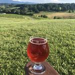 Great Valley Farm Brewery and Winery