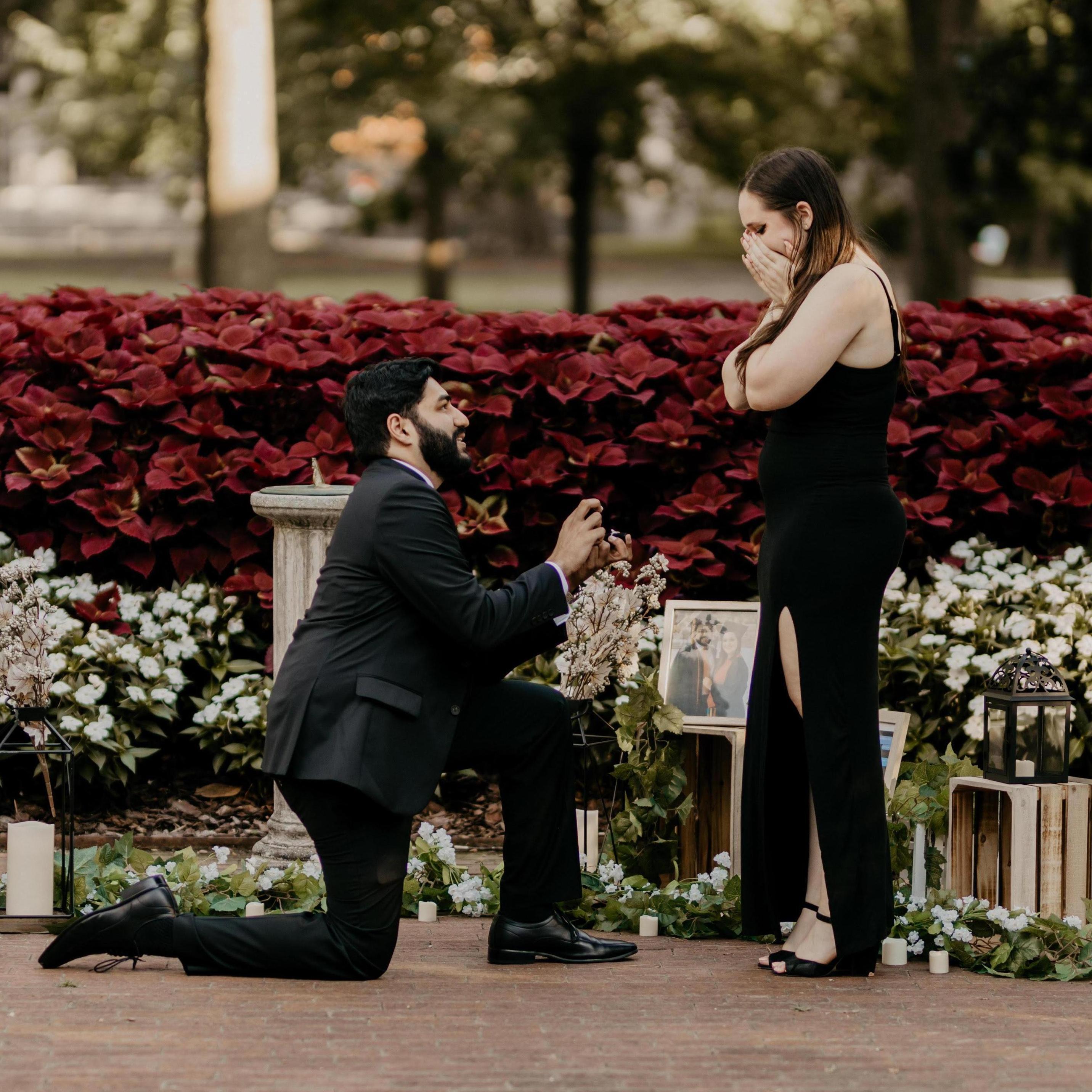The Proposal