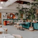 Boozehounds Palm Springs