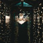 The Rabbit Hole