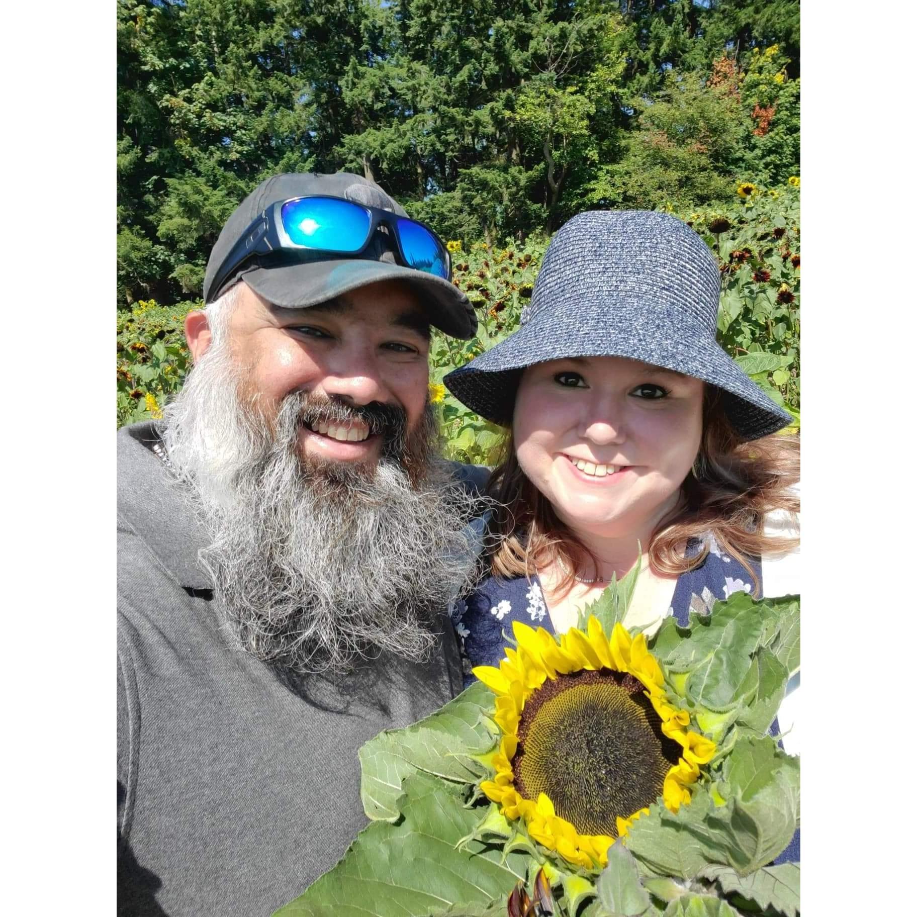Sunflower Festival at Maris Farms in Buckley, WA.