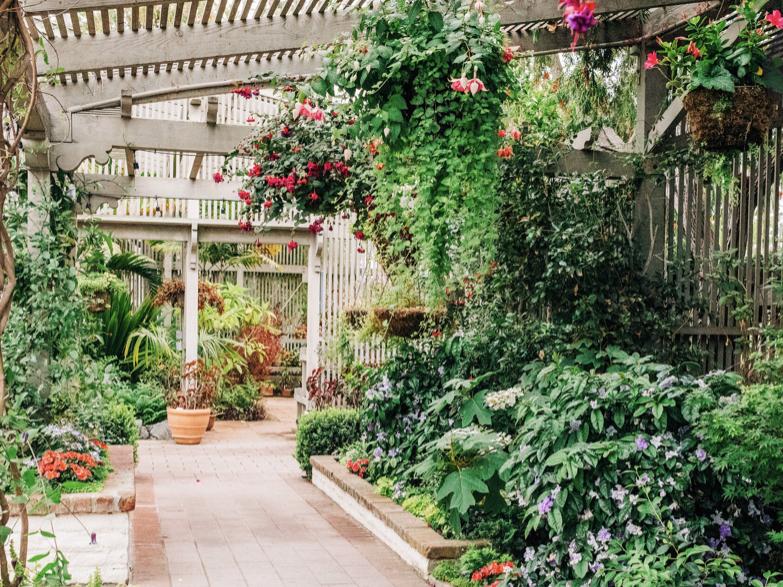 The Wedding Website of Talen Wilkinson and Ashley Galvan