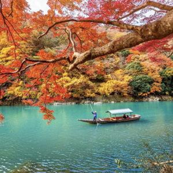 Private Riverboat Ride on Hozugawa River