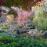 Fort Worth Botanic Garden