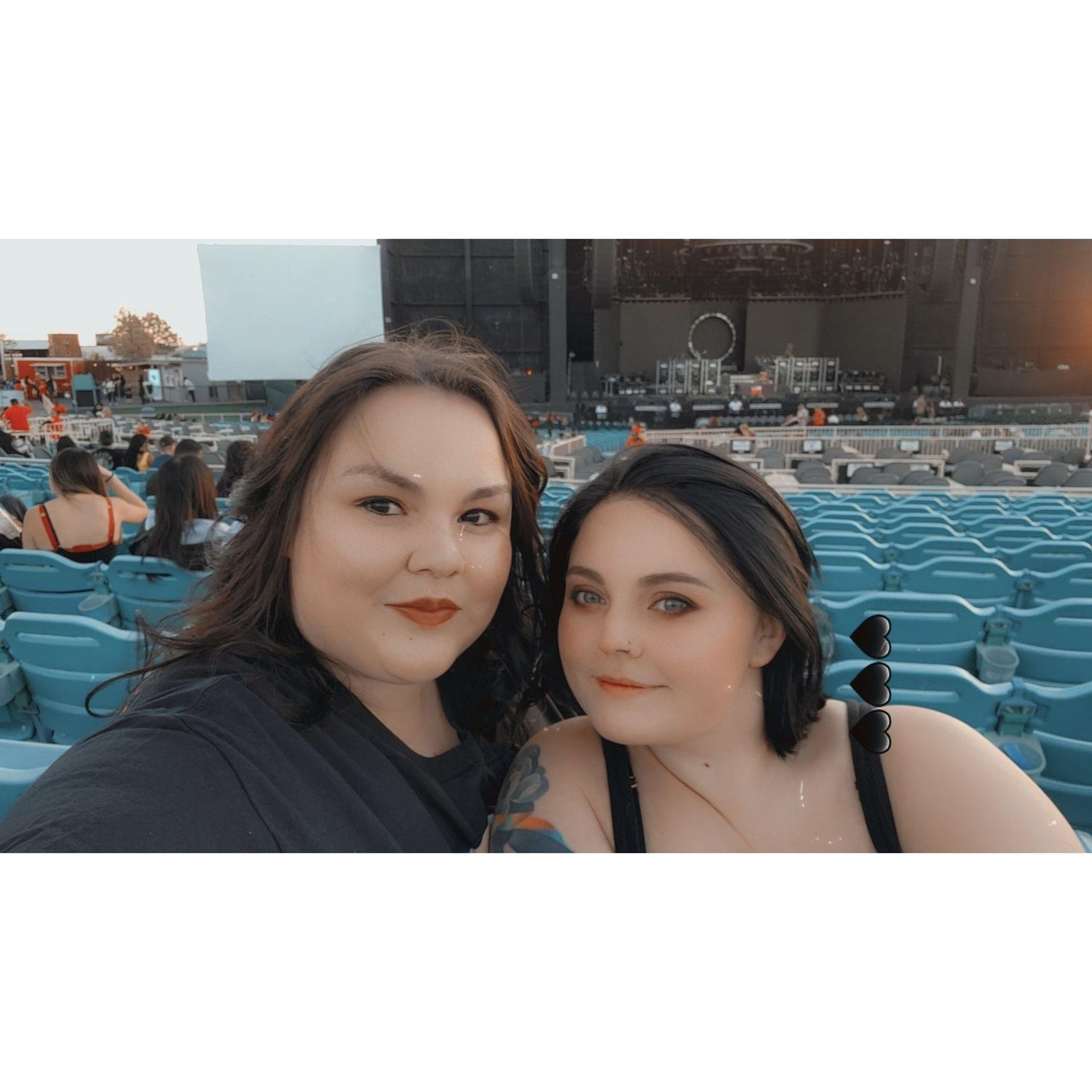 Pitbull Concert!