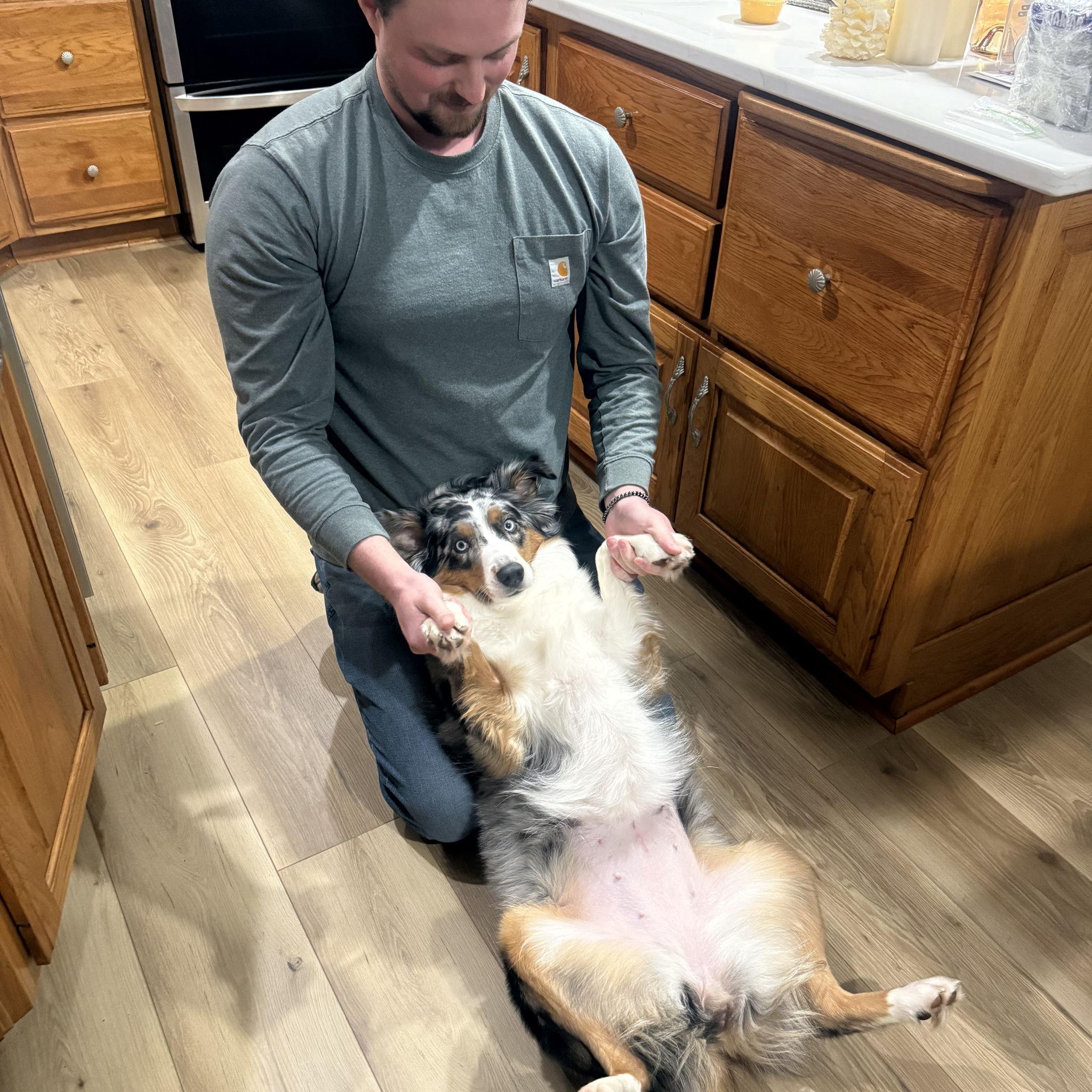 Maisy will submit to anyone for belly rubs..