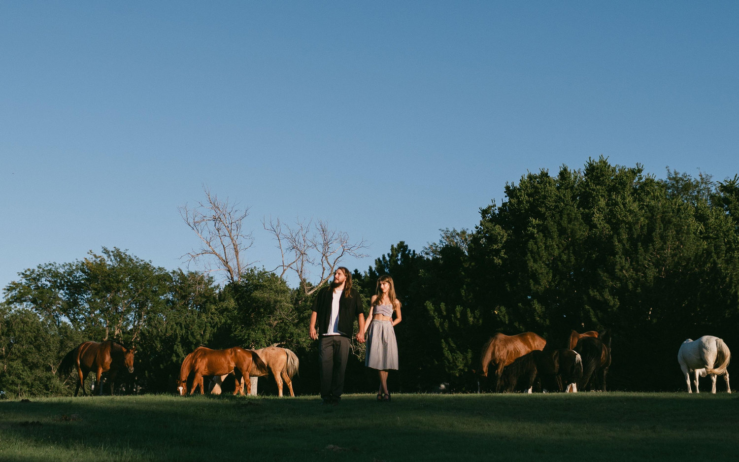 The Wedding Website of Rachel Browne and Quade Woofter