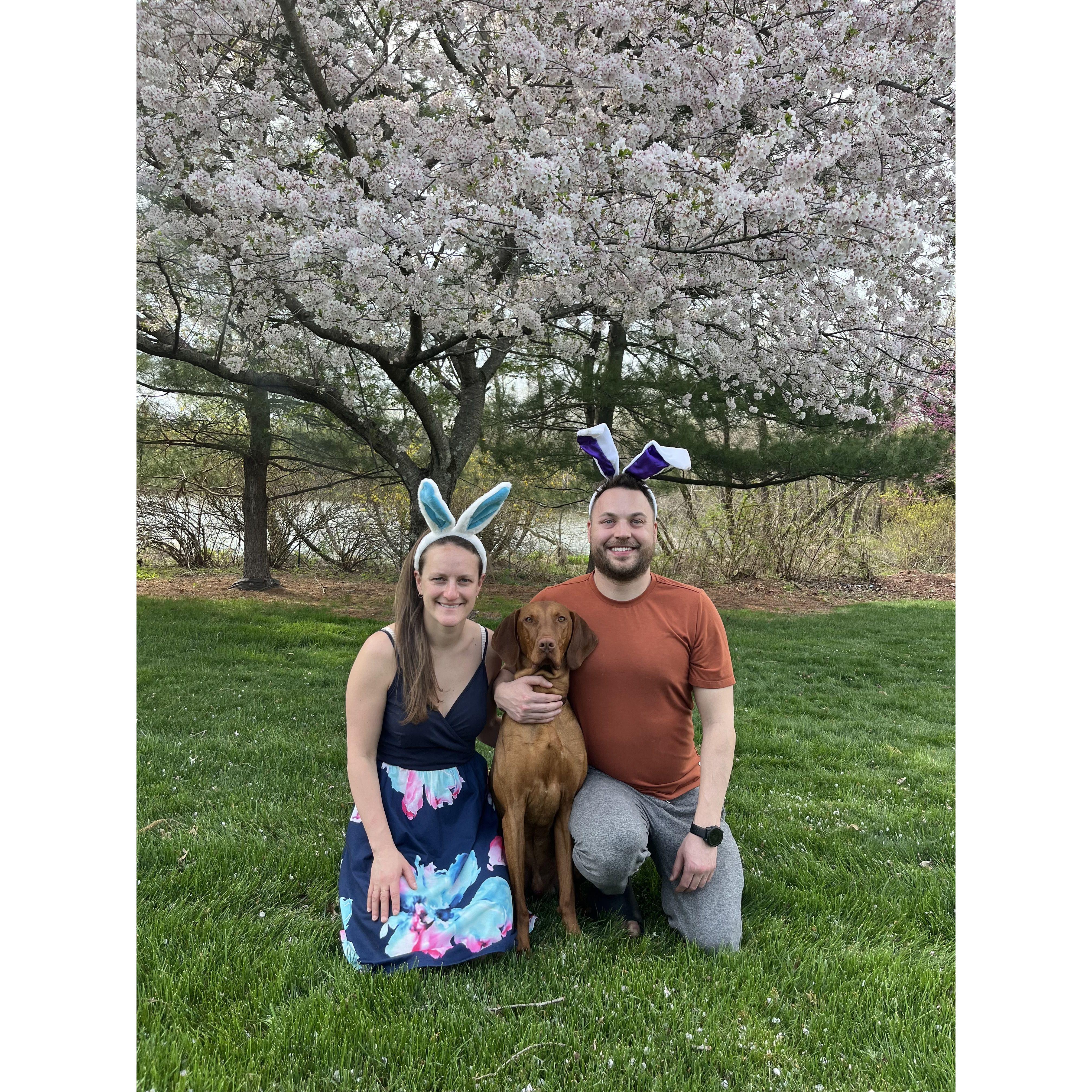 Easter bunny ears with the pups